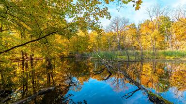 Potawatomi Woods and Lake view in Wheeling Township of Illinois