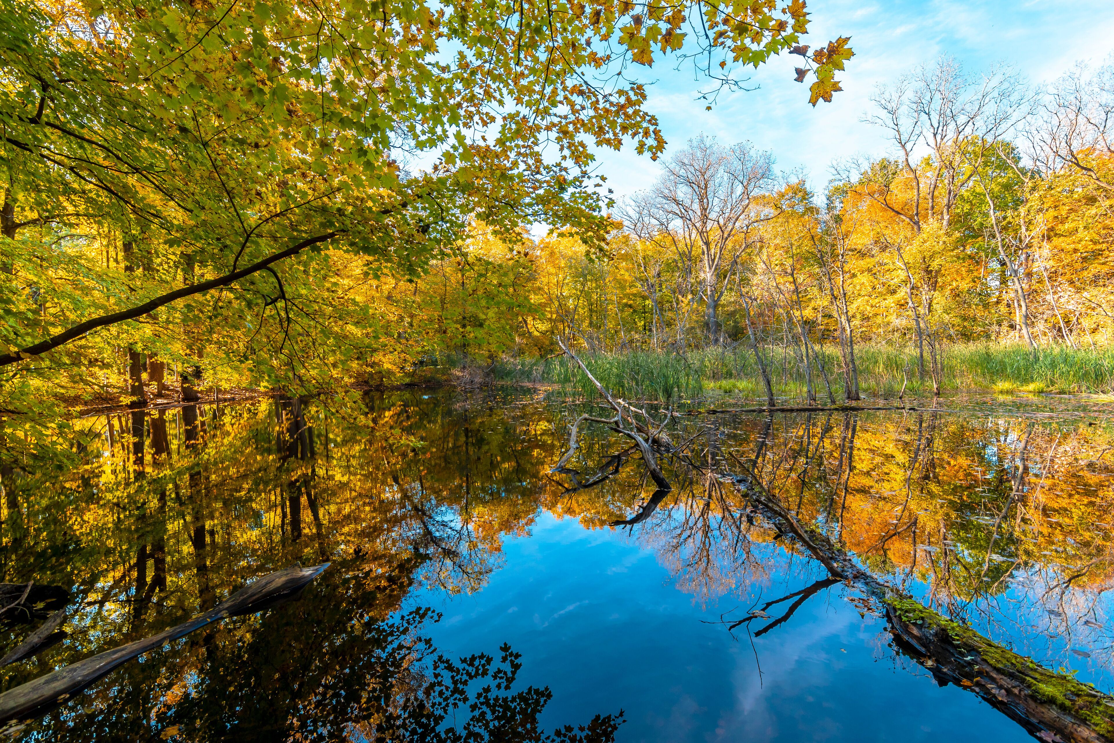 A calm lake surrounded by autumn trees reflecting in the water.