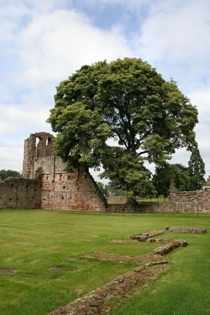 An ancient stone structure with a large tree in the foreground.