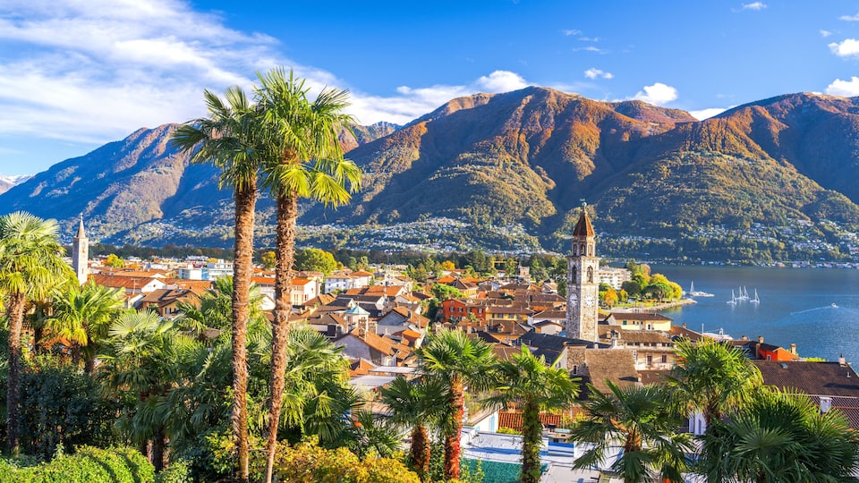 A coastal town with palm trees, a church, and mountains in the background.