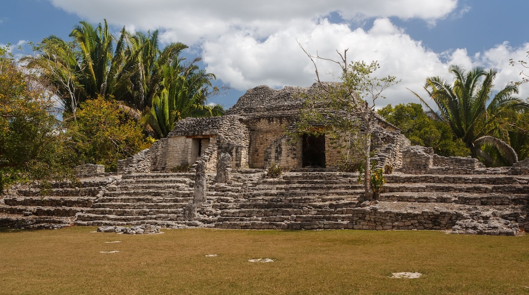 Ruins of the ancient Mayan city of Kohunlich, Mexico; Shutterstock ID 313300025