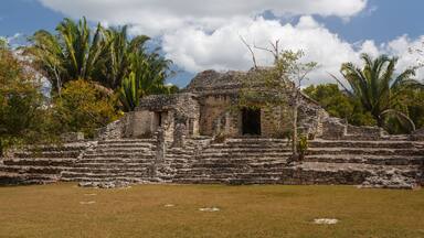 Una antigua estructura de piedra con escalones y un acceso, rodeada de palmeras y follaje.