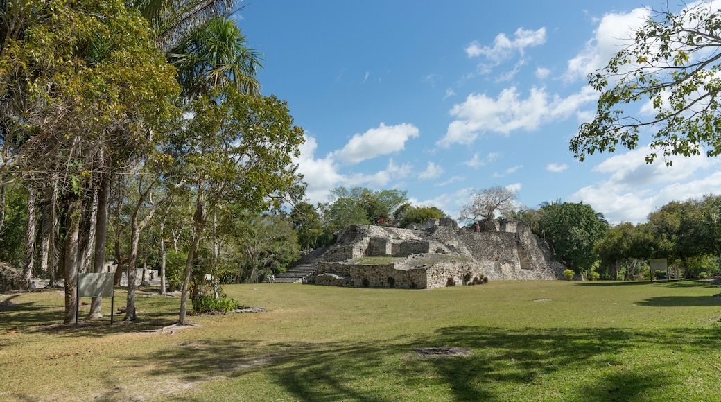 Kohunlich, Mexiko, Maya Ruinen, zentraler Platz
