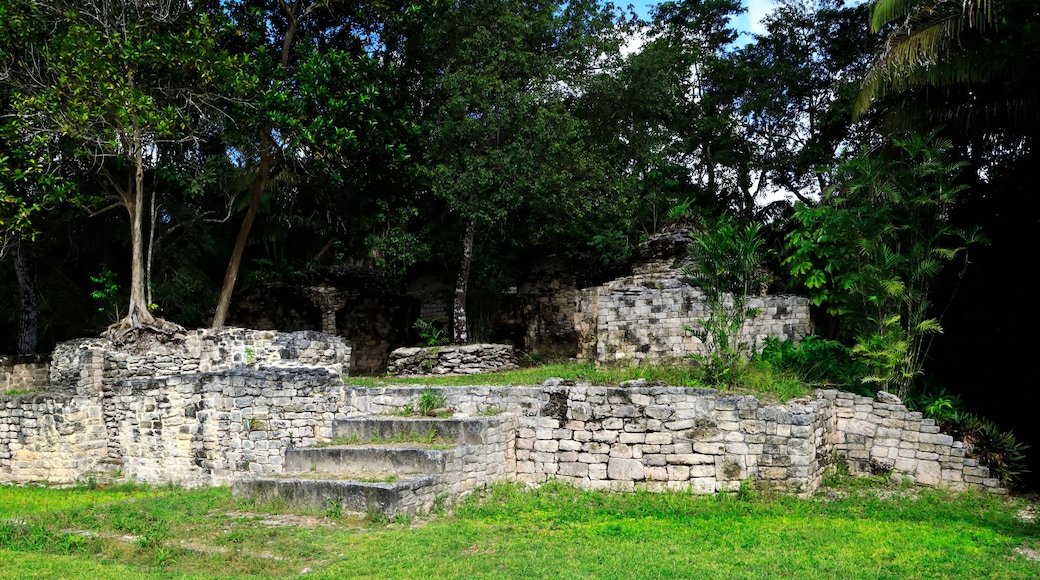 Kohunlich Mayan Ruins