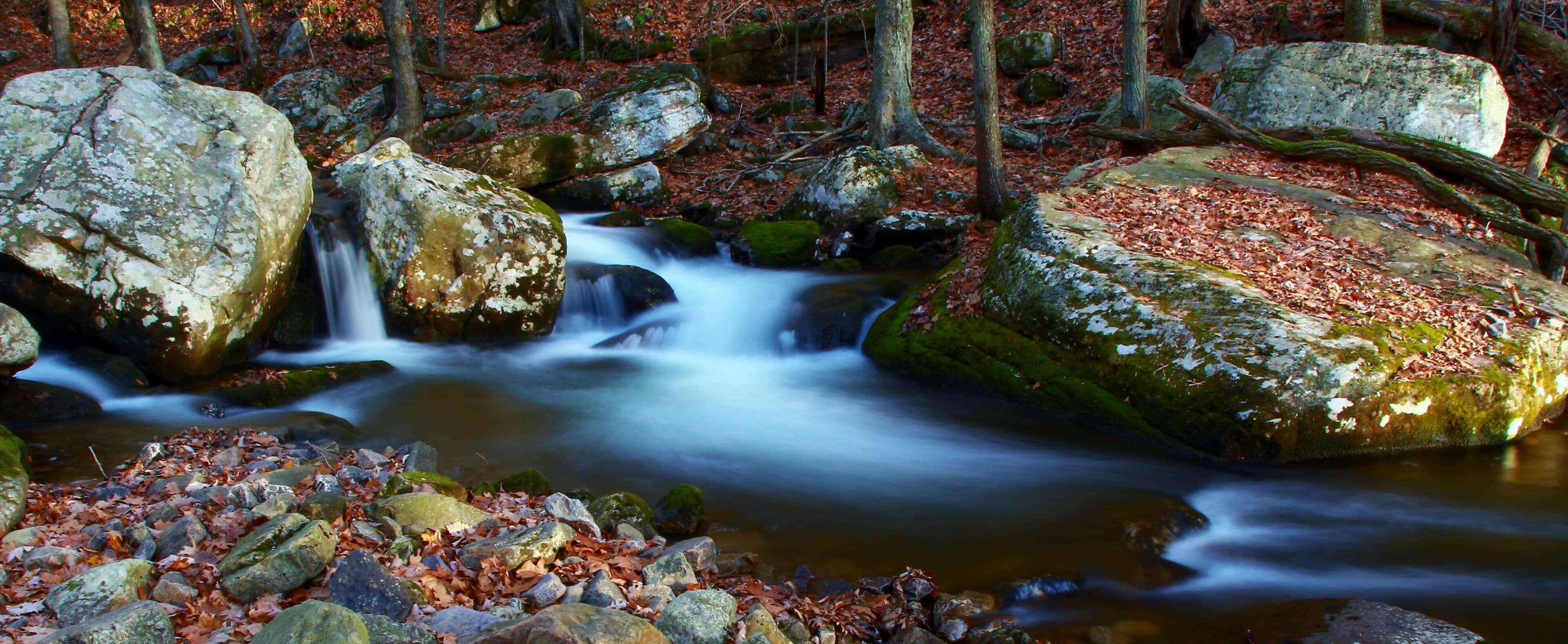 River Little Stony Creek, Virginia