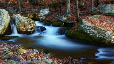 River Little Stony Creek, Virginia