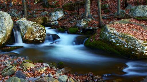 River Little Stony Creek, Virginia