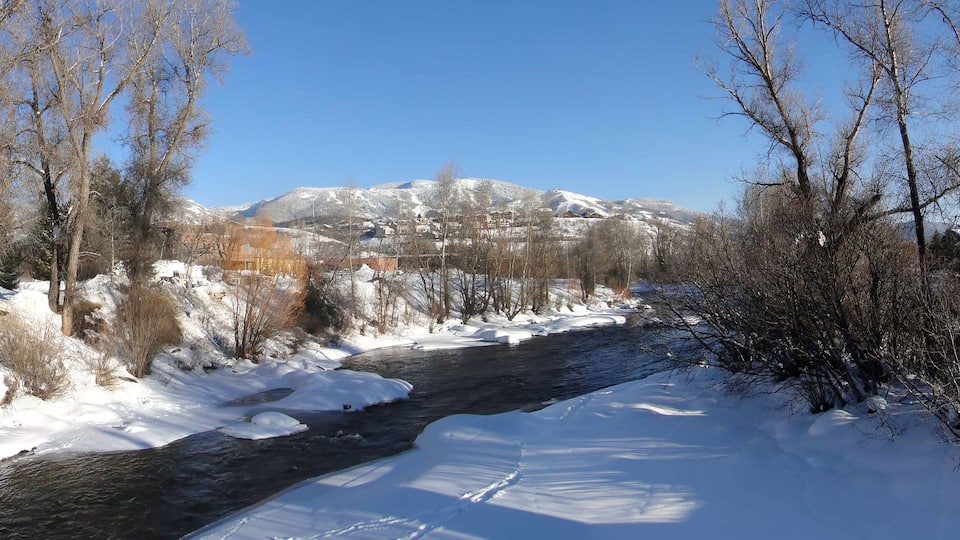 A snow-covered river with bare trees and mountains in the background.