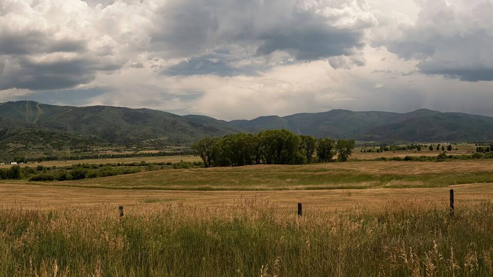 A rural landscape with rolling hills, a field of tall grass, and a distant mountain range under a cloudy sky.