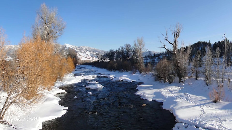 A snow-covered river with bare trees and mountains in the background.
