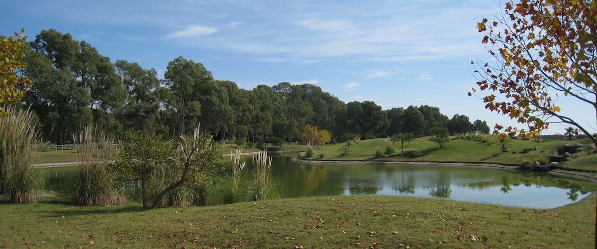 A serene landscape with a pond, grassy areas, and trees.
