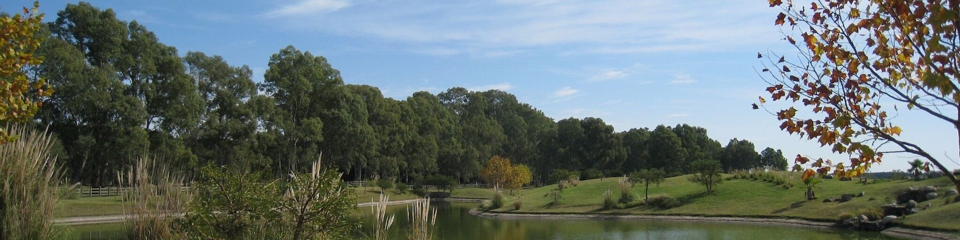 A serene landscape with a pond, grassy areas, and trees.