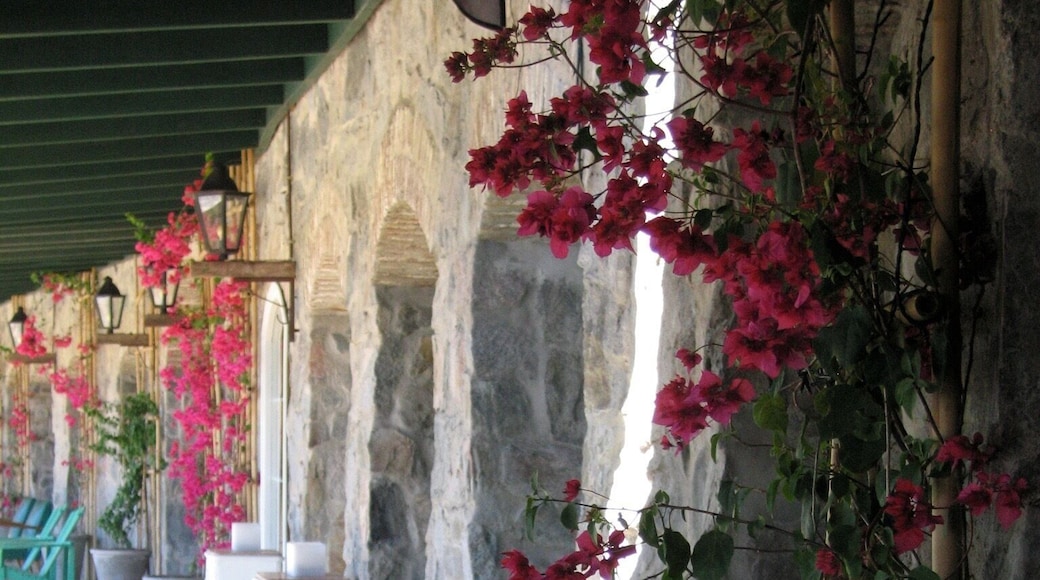 Took a nice walk from the hotel along the Rio de la Plata to this little marina where they have a yummy ice cream & sweets shop and a little restaurant with delicious chivitos