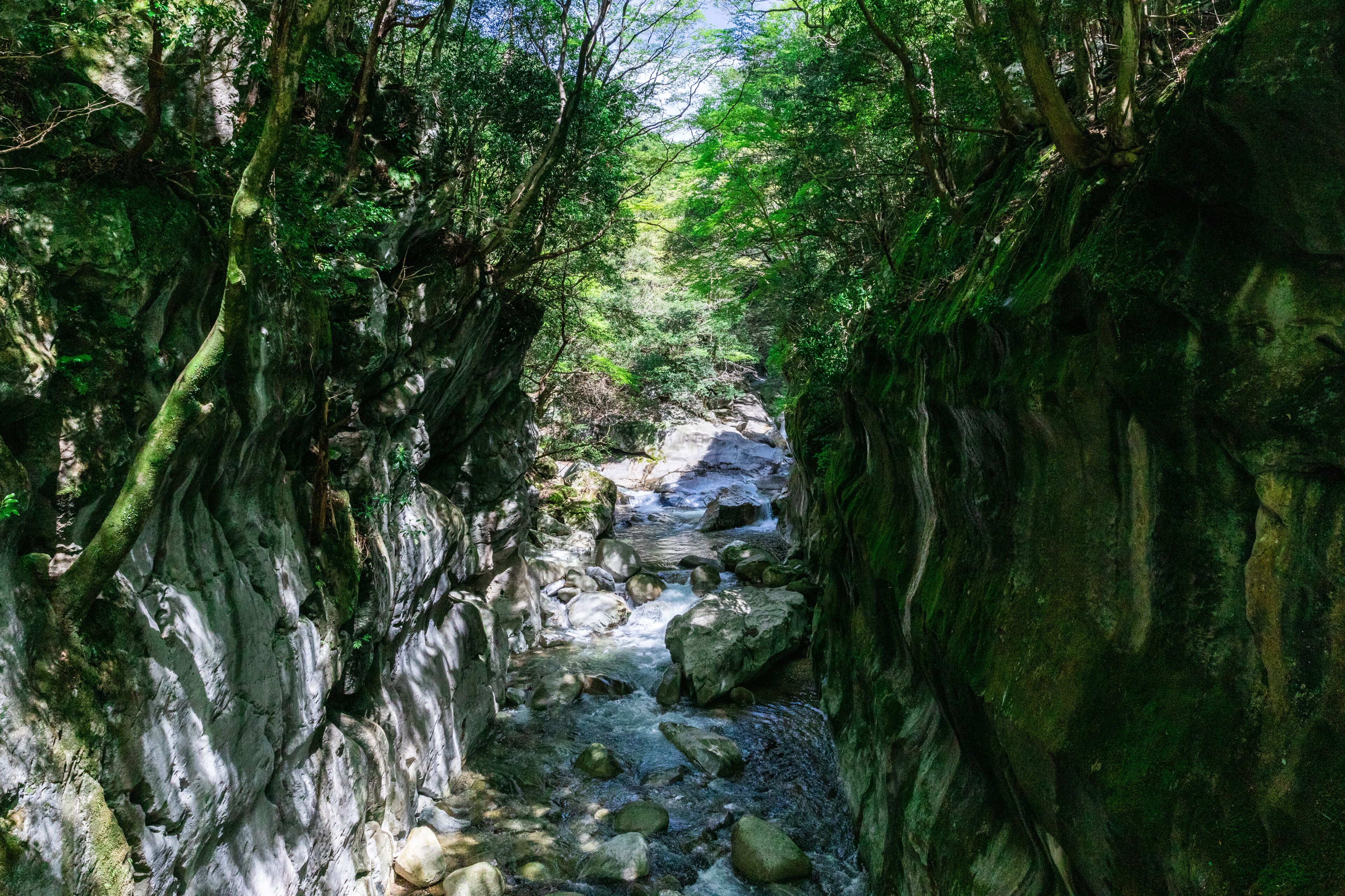 Suzuka