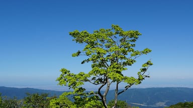 Lush Green Summits of the Suzuka Mountain Range in Summer, Mie, Japan