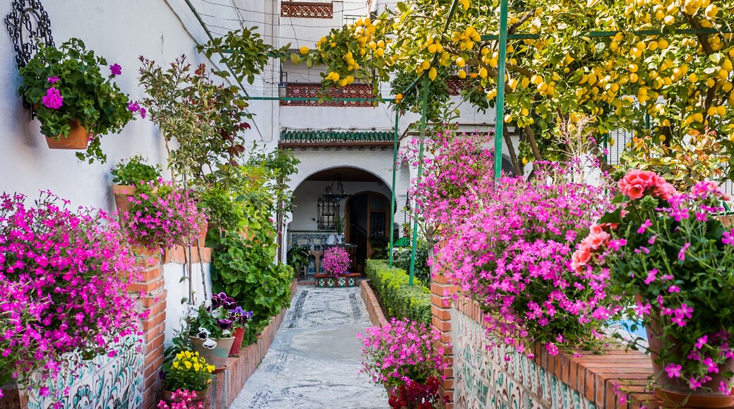 Granada, Spain - March 23, 2008 - Albaicin Neighborhood in Granada, Patio with beautiful flowers, Spain