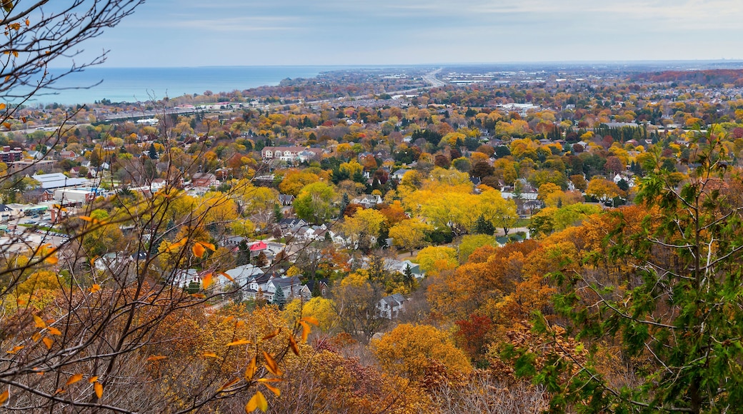 Overlooking Autumn Landscape from Niagara Escarpment, Ontario