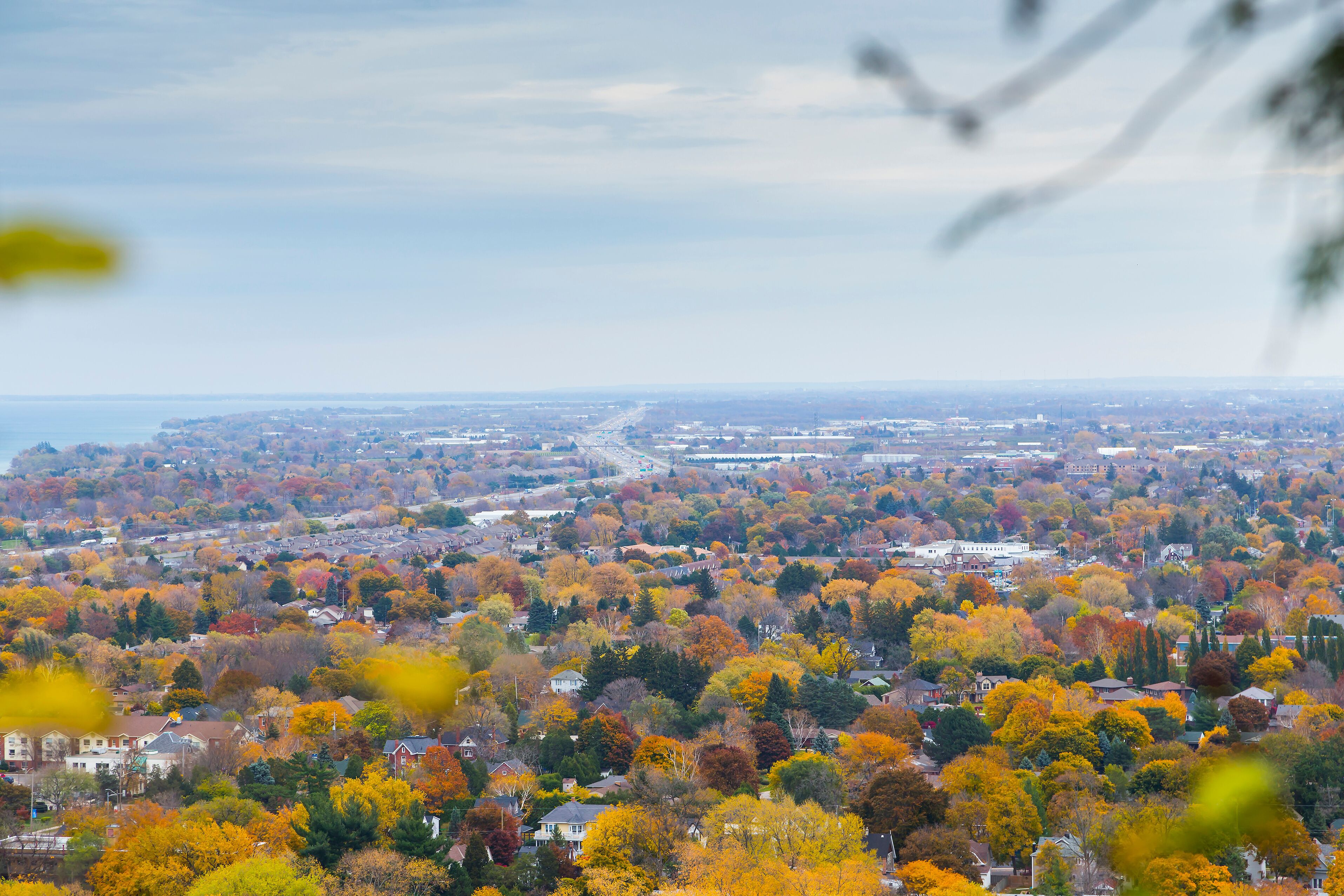 Overlooking Autumn Landscape from Niagara Escarpment, Ontario