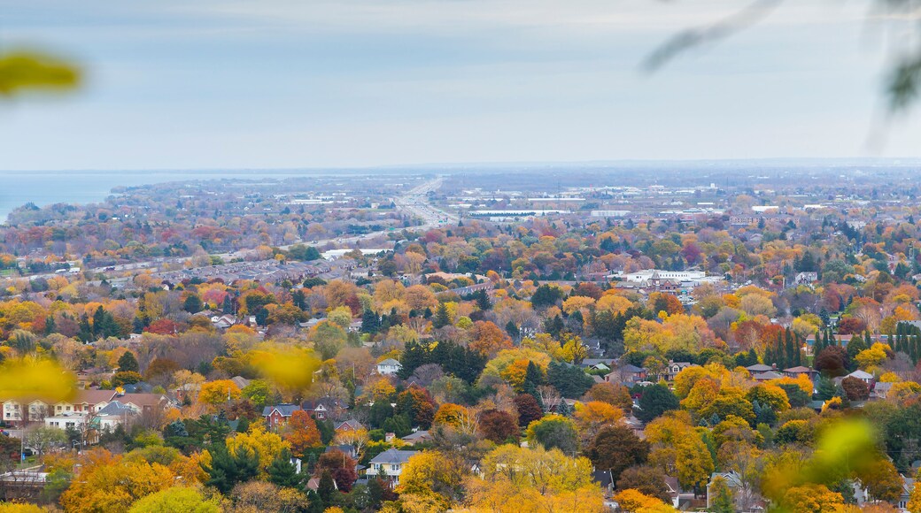 Overlooking Autumn Landscape from Niagara Escarpment, Ontario