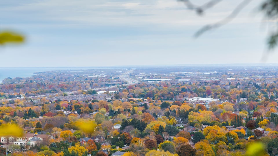 A panoramic view of a town with autumn-colored trees, a river, and a distant bridge.