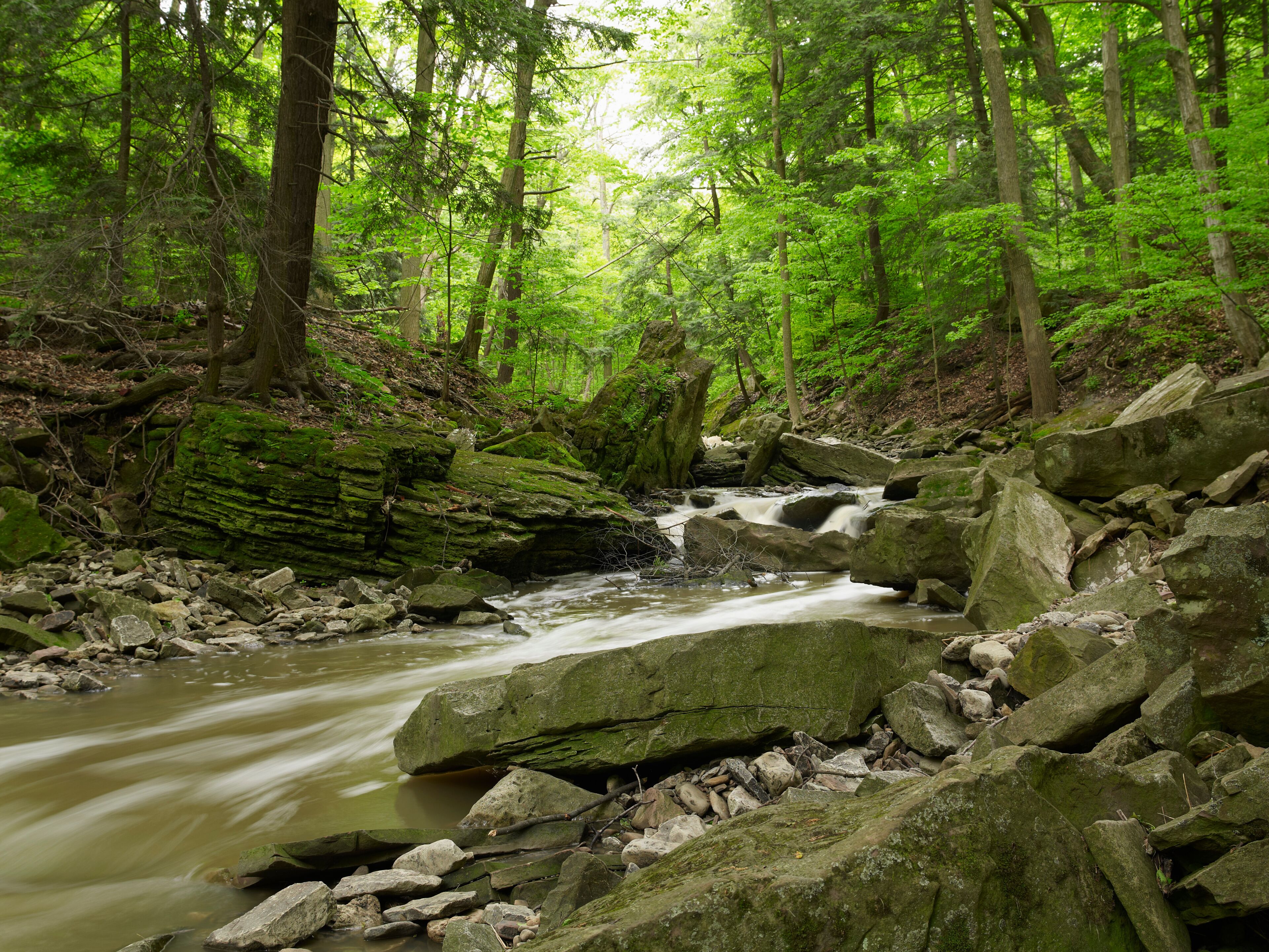 Beamer Falls Conservation Area, Grimsby, Ontario, Canada