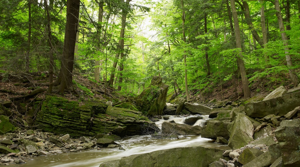 Beamer Falls Conservation Area, Grimsby, Ontario, Canada