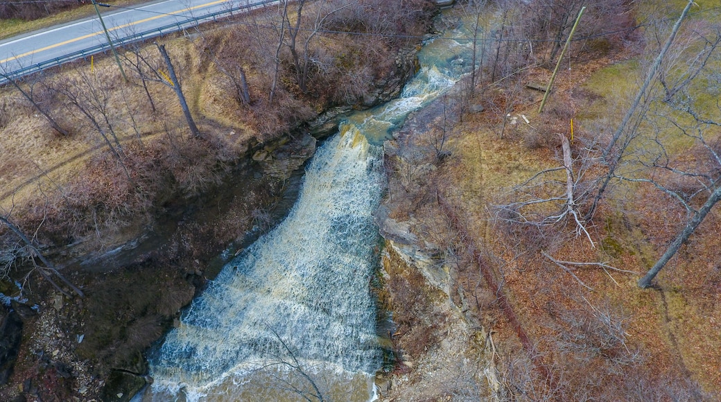 A river flowing through a forested area with a road running parallel to it.