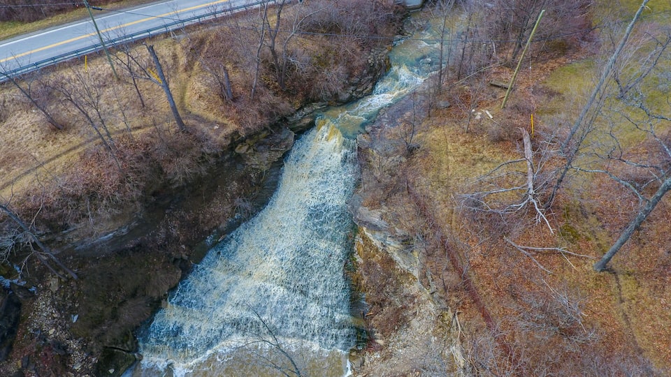 A river flowing through a forested area with a road running parallel to it.