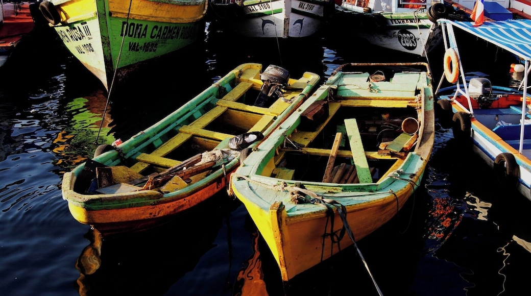 Do Muelle Prat se tem uma vista muito bonita dos barcos ancorados no porto. O colorido das embarcaçÔes Ă© realçado com as luzes do pĂŽr do sol sendo uma oportunidade para meia dĂșzia de fotografias.
#muelleprat #puerto #valparaiso #chile #TroveonTuesday