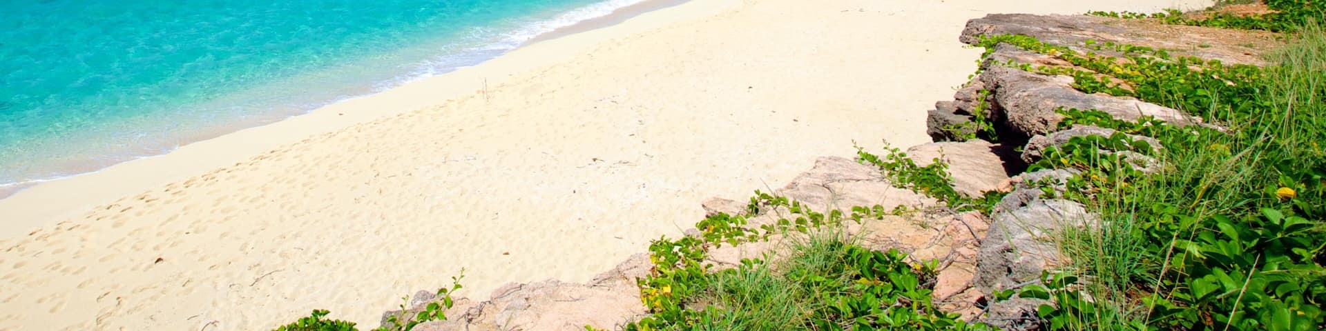 Cupecoy which includes landscape views, a beach and tropical scenes