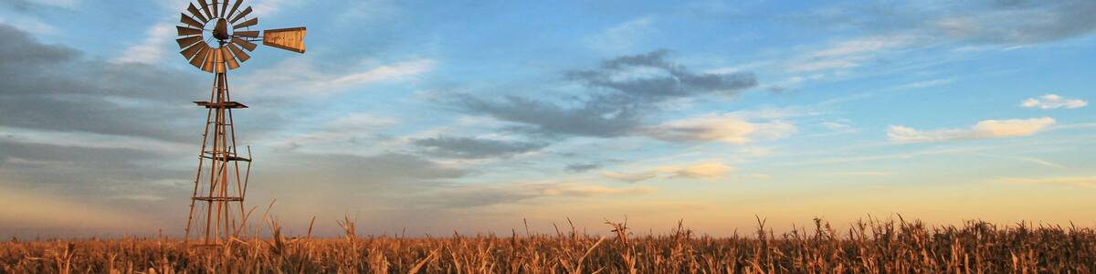 Texas style westernmill windmill at sunset, with a golden colored grain field in the foreground, Argentina