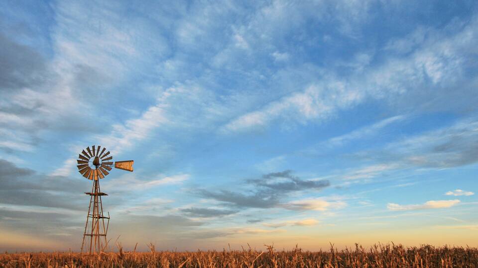 A windmill in a cornfield under a partly cloudy sky.