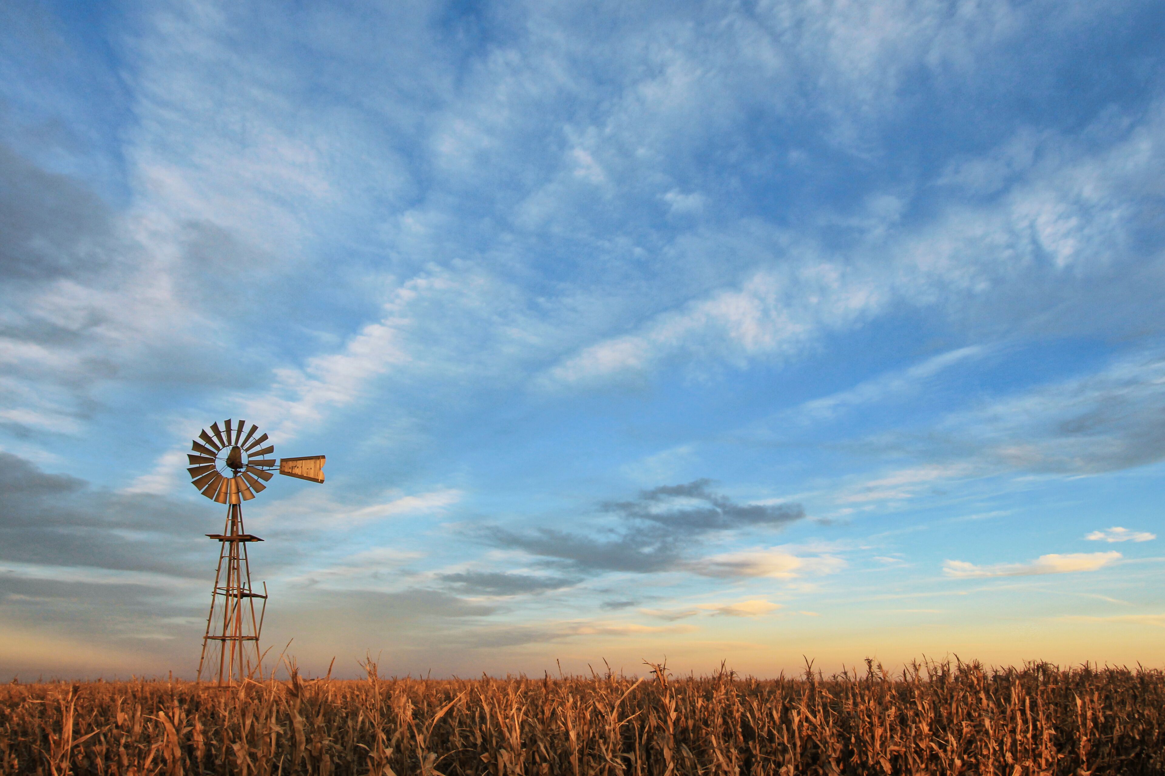 A windmill in a cornfield under a partly cloudy sky.