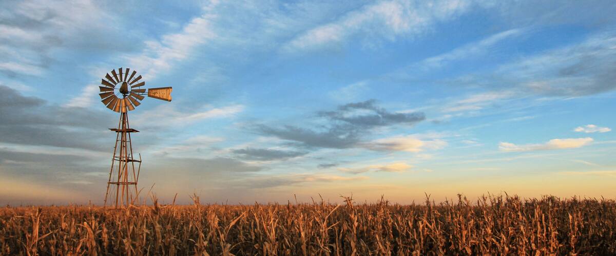 Texas style westernmill windmill at sunset, with a golden colored grain field in the foreground, Argentina