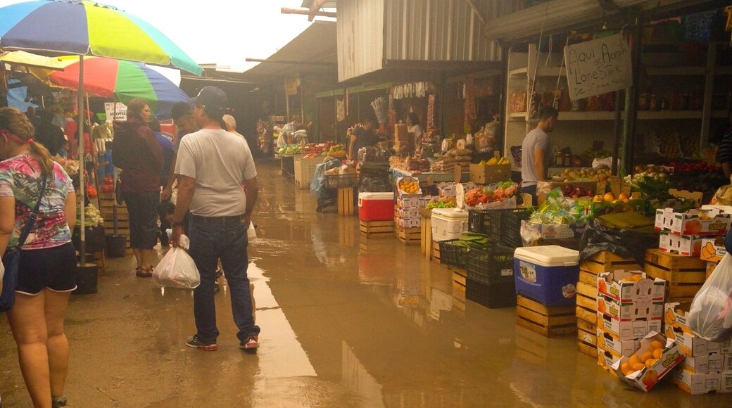 Such a thriving culture. Fresh, local fruits and veggies and many authentic Mexican treats to choose from!