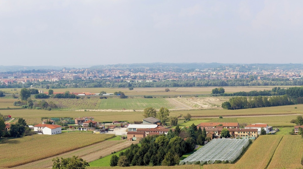 Vista di Asti dal Bricco Biamini