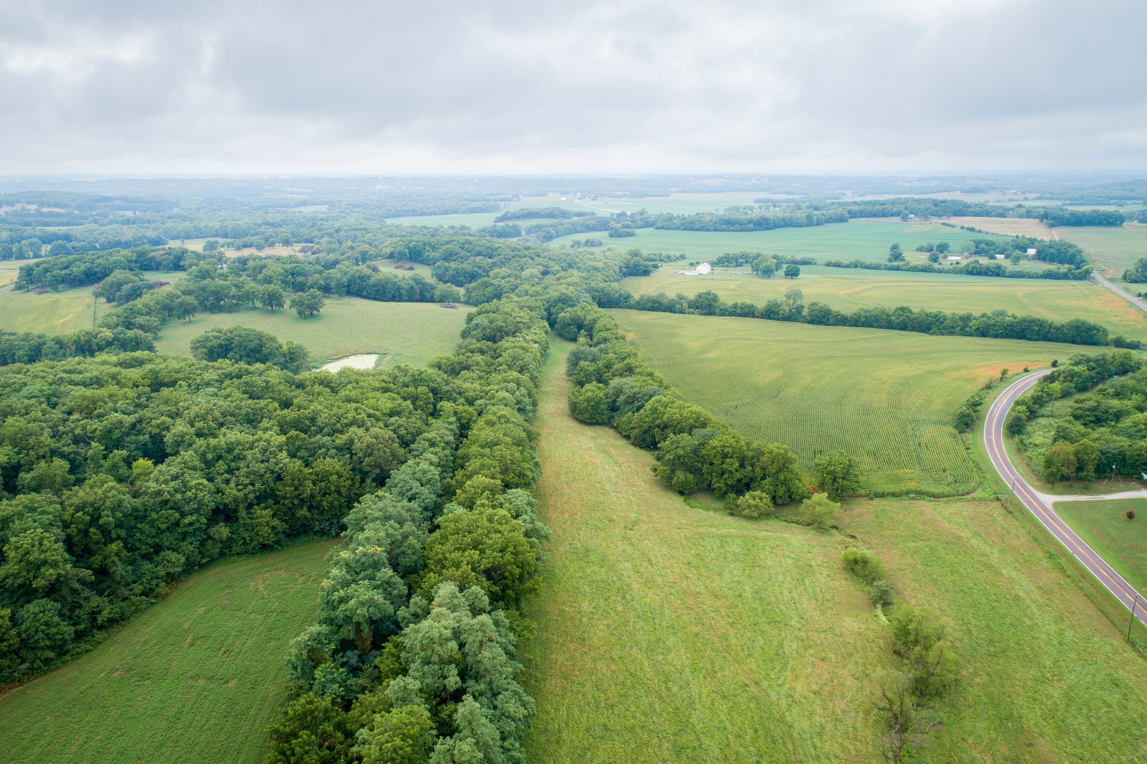 aerial view of Katy Trail shaded by trees near Pilot Grove, Missouri - 237 mile bike trail stretching across most of the state of Missouri converted from abandoned railroad