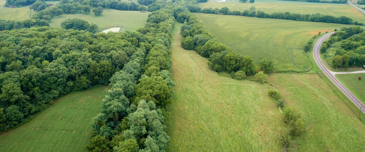 A vast landscape with rolling green fields, dense forests, and a winding road.