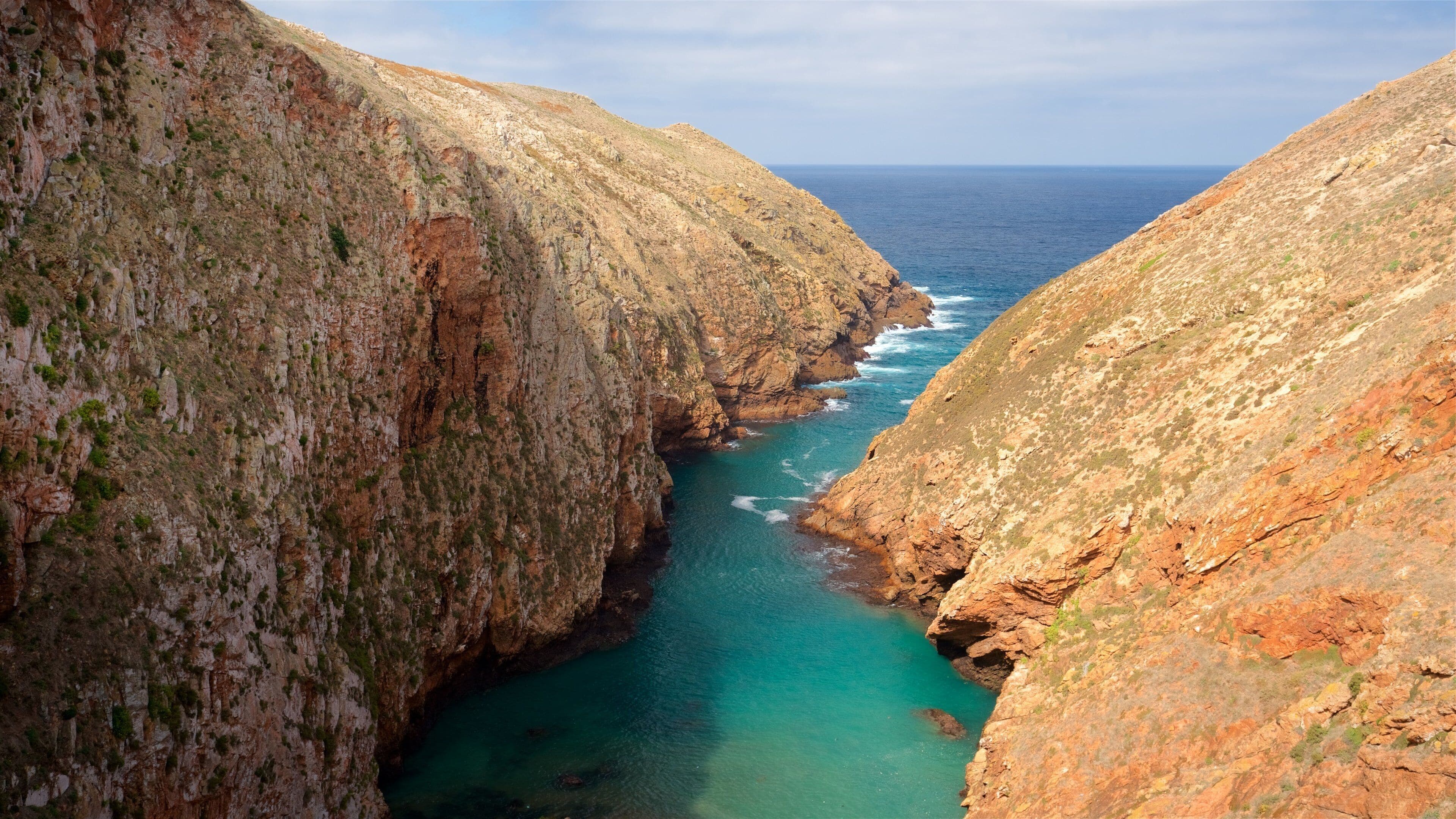 Berlenga Island which includes rugged coastline and general coastal views