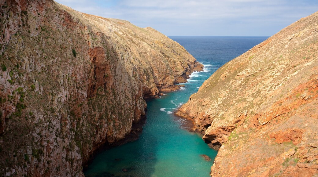 Berlenga Island which includes rugged coastline and general coastal views