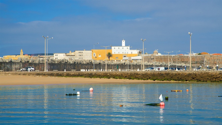 Peniche showing a bay or harbour