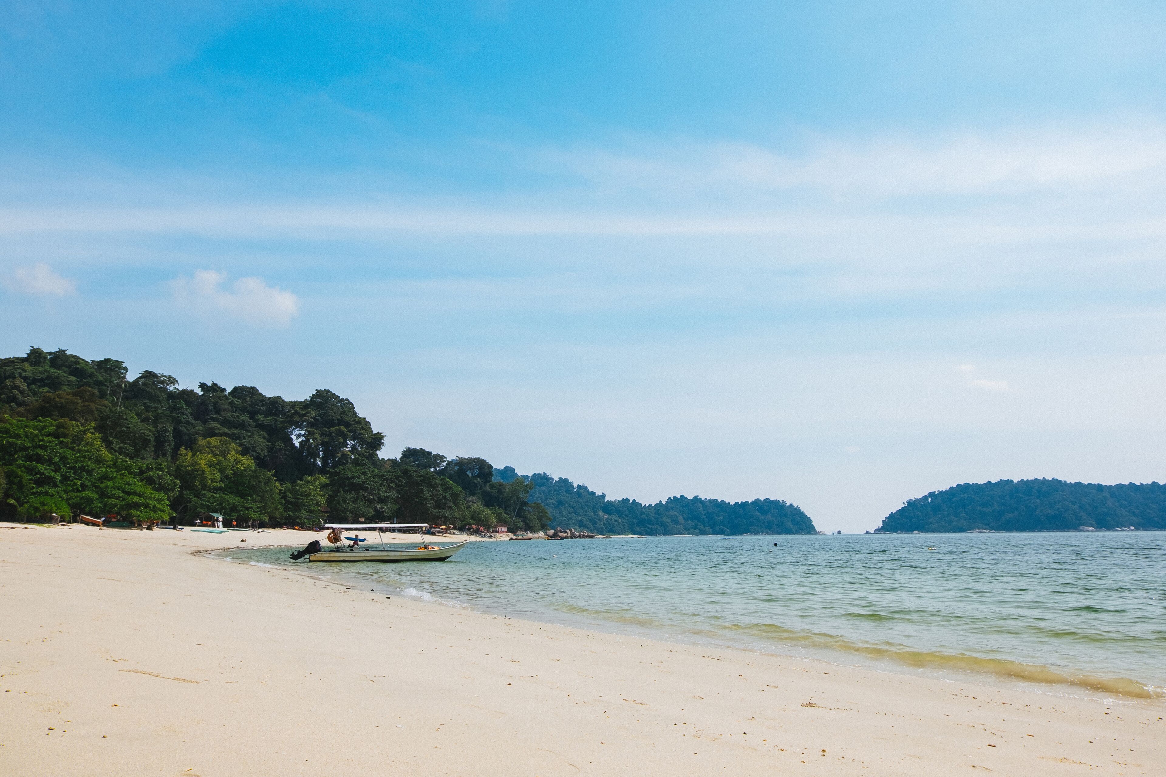 Lumut