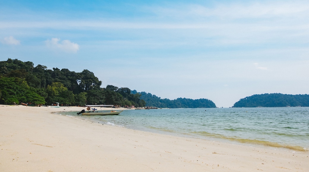 Lumut