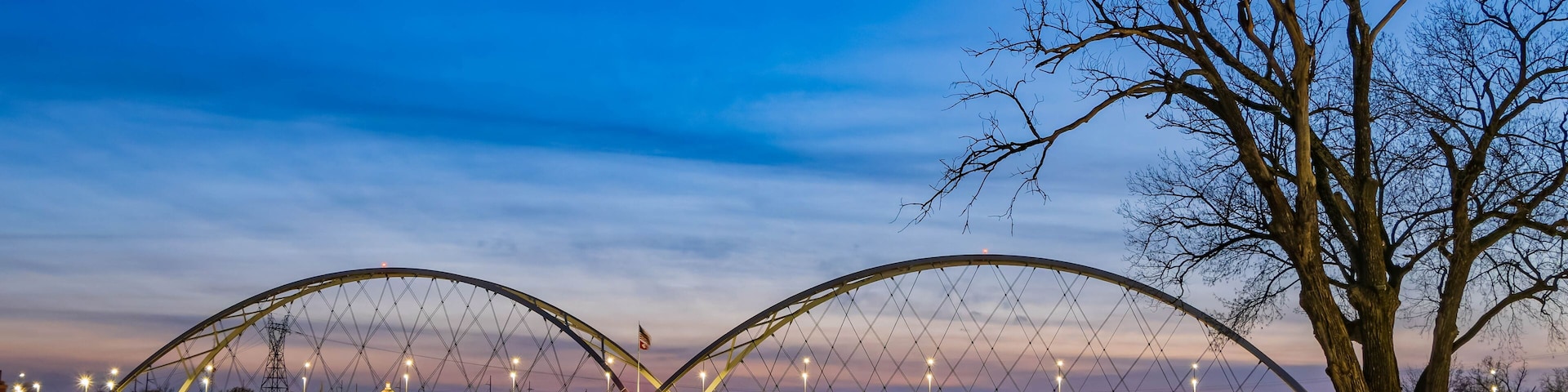 Une rivière avec un pont, un arbre et les lumières de la ville qui se reflètent sur l’eau.
