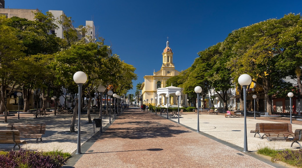 Images of the Parish of Nossa Senhora da Candelária in Itu, Sao Paulo, Brazil