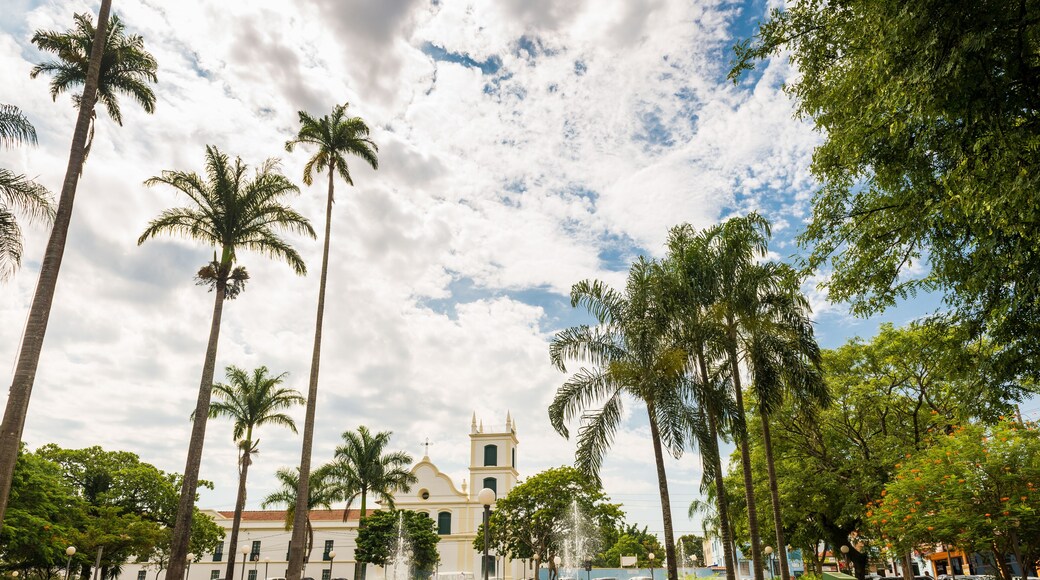 praça pública com árvores