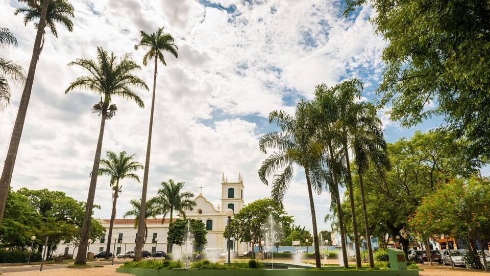 A historic church surrounded by palm trees and a fountain.