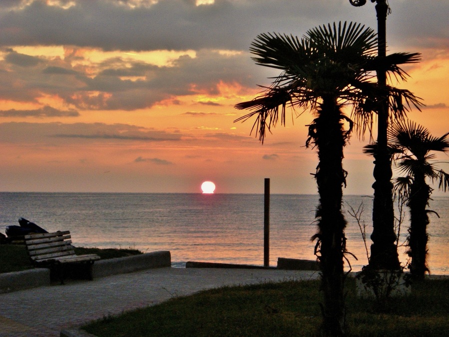 Morning sun seen one summer from our accomodation in Paralia,Greece.
The earliest breakfast I had in my life and camera ready! Postcard photo #TroverTips
#adventure
#Greece
#nature photo contest