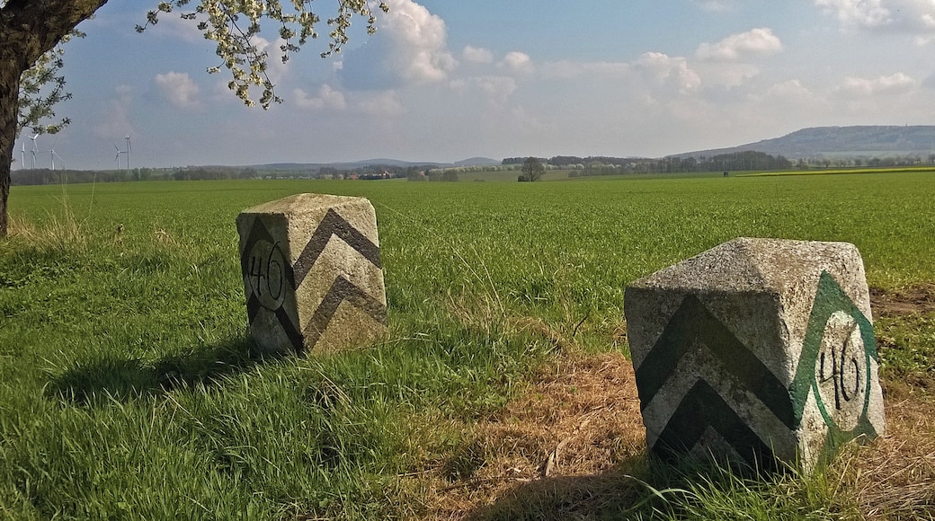 Grenzstein Nr. 46 Historische Landesgrenze Königreich Sachsen Königreich Preußen 1815 (Wiener Kongress)