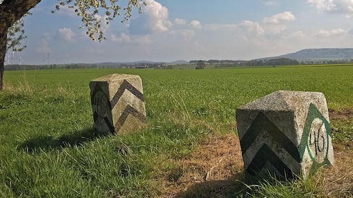 Grenzstein Nr. 46 Historische Landesgrenze Königreich Sachsen Königreich Preußen 1815 (Wiener Kongress)